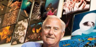 The walls of Mike Ricciardi’s home office are adorned with his underwater images. Photo by Steven Martine
