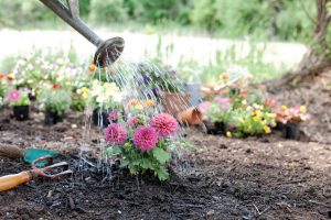 Preparing outdoor spaces to be enjoyed in cooler weather is best done with manageable steps in late summer, while being mindful of the heat. Photo courtesy of iStock