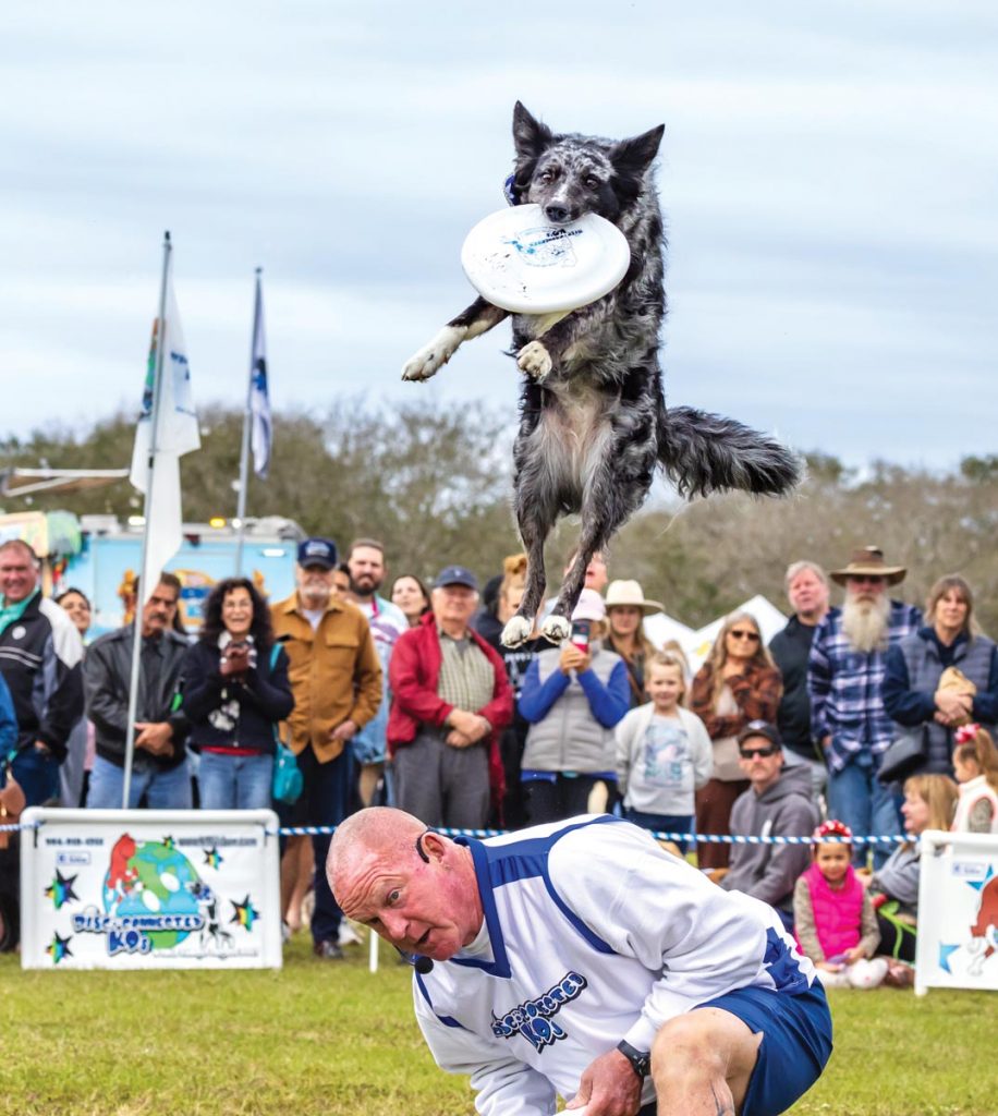 Bark in the Park returns January 10