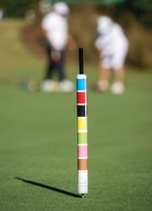 Croquet. Photo by Steven Martine