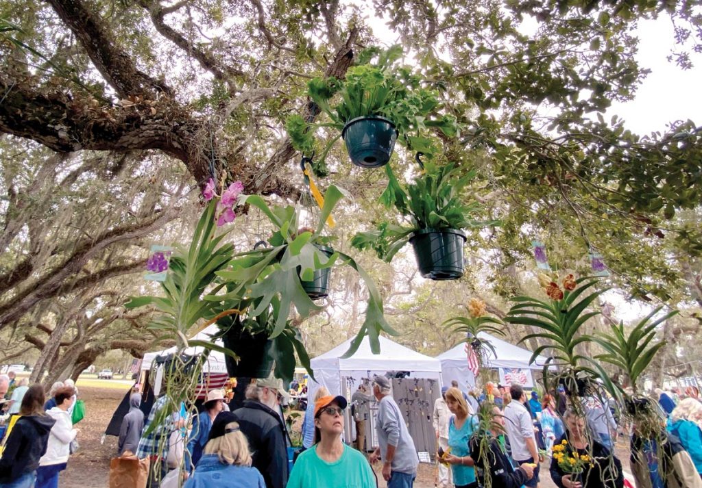 Garden Club of Indian River County will host Gardenfest! February 7-8. Photo by Kelly Rogers