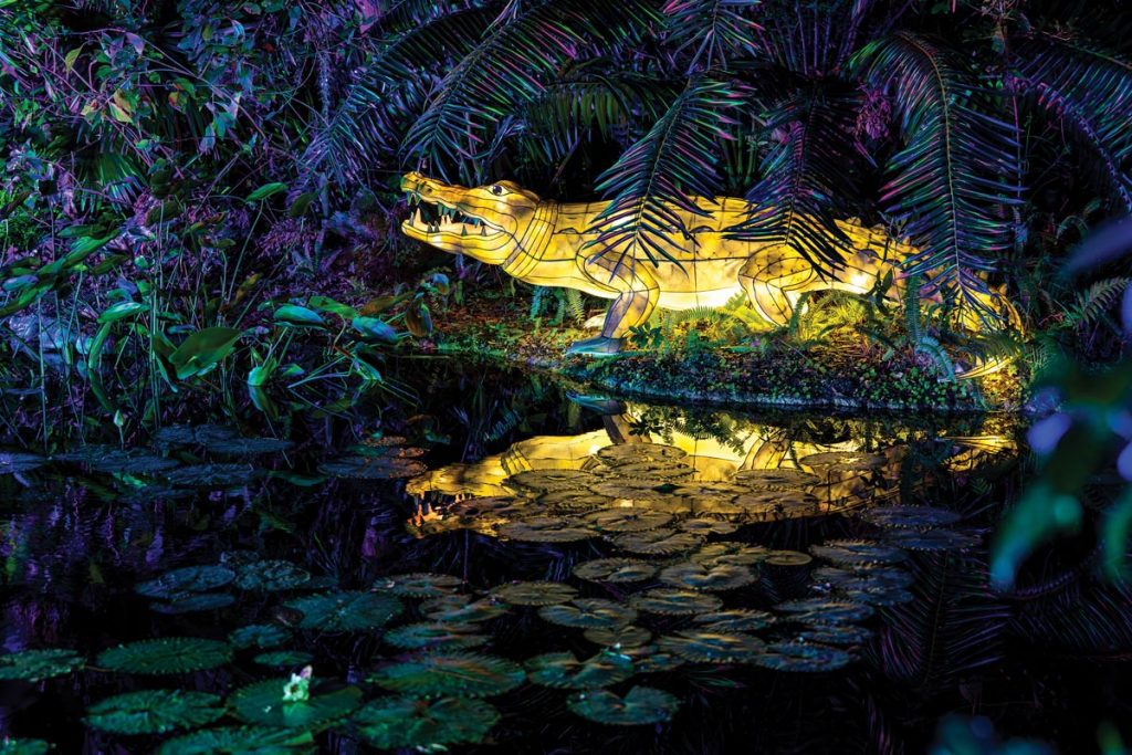 Jungle Lights-173. Photo by JPR Images