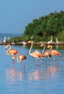 Photo courtesy of iStock