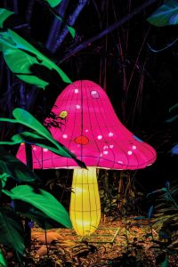 The Amazon theme of this year’s Jungle Lights stems from the origins of the floral specimens brought back by plant explorers in the garden’s early days. Photo by Ingrid Zagers