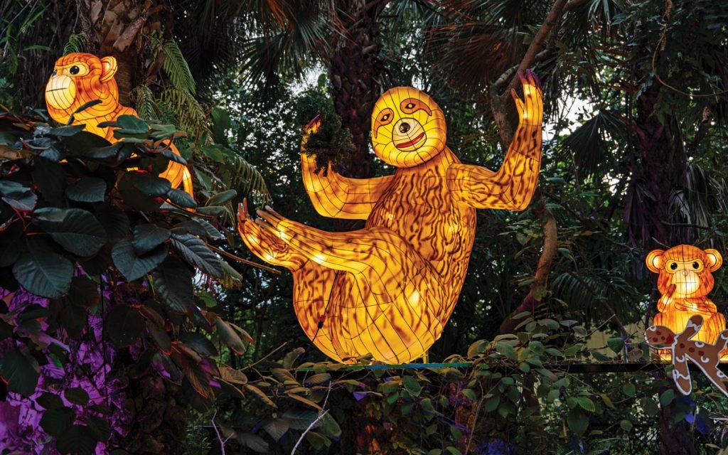 This year’s Jungle Lights at McKee Botanical Garden celebrates with an Amazon Adventure. Photo by JPR Images