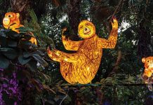 A Resplendent Rainforest Awaits at McKee Botanical Garden This year’s Jungle Lights at McKee Botanical Garden celebrates with an Amazon Adventure. Photo by JPR Images
