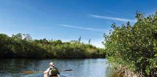 St. Lucie Inlet Preserve State Park, which boasts a 4.2-mile-long kayak trail. Photo courtesy of iStock