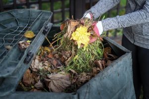 Compost material can be gathered from the yard and laid beneath mulch. Photo courtesy of iStock