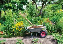 Tips for Preparing Landscapes for the Summer Ahead May is all about preparing landscapes for summer. Photo courtesy of iStock