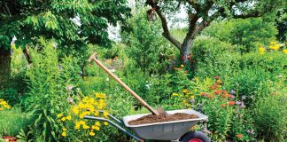 May is all about preparing landscapes for summer. Photo courtesy of iStock