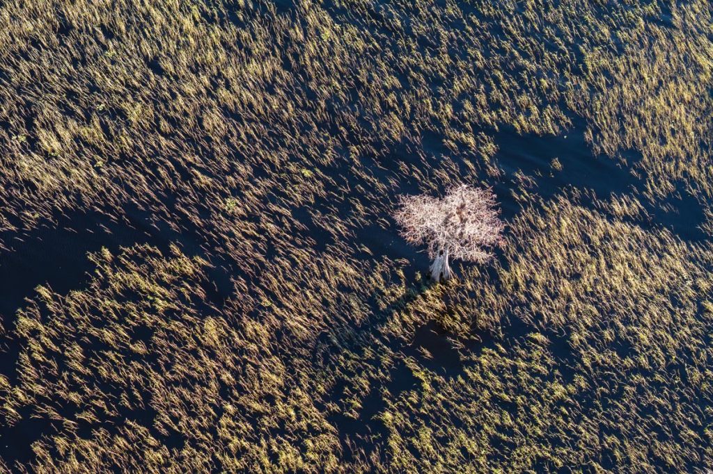 Blue Cypress Lake. Photo by Sam Wolfe
