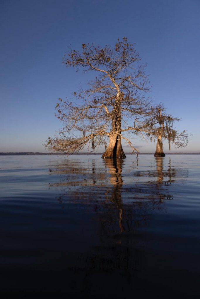 On Blue Cypress Lake. Photo by Sam Wolfe