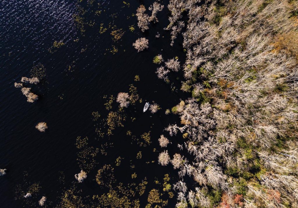 The scenery at Blue Cypress is worth the trip. Photo by Sam Wolfe