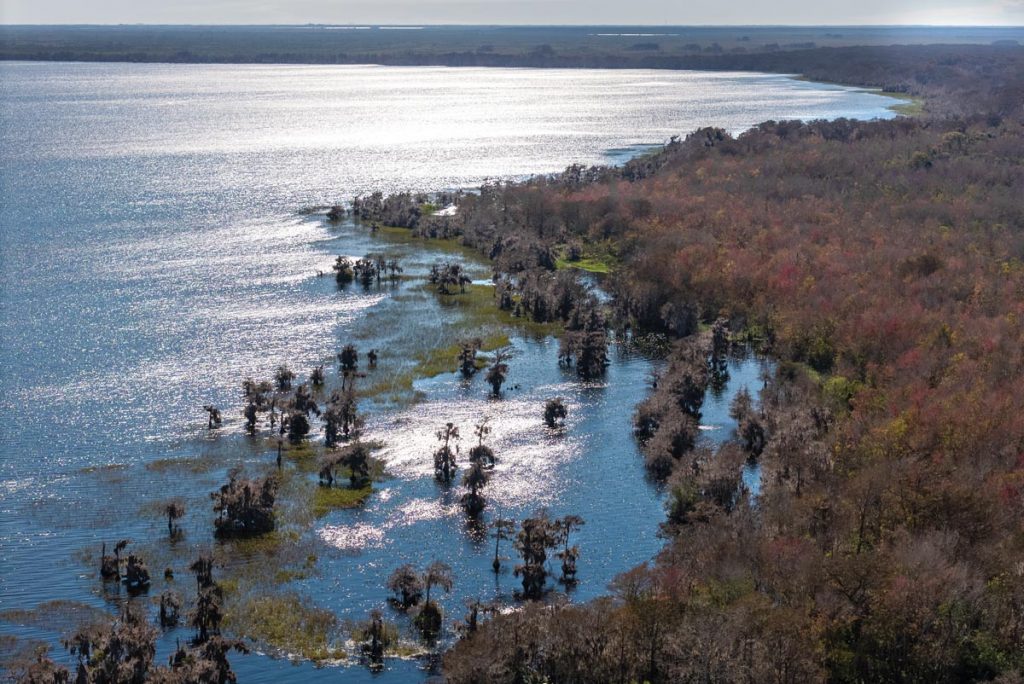 The wide open expanse of Blue Cypress Lake attracts freshwater fishermen from all over looking for a prize largemouth bass. Photo by Sam Wolfe