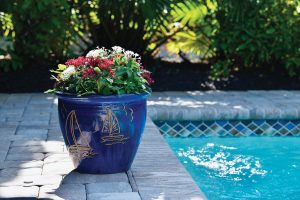 A blue pot filled with red and white pentas makes a perfect July display. Photo by Red Jay Nursery
