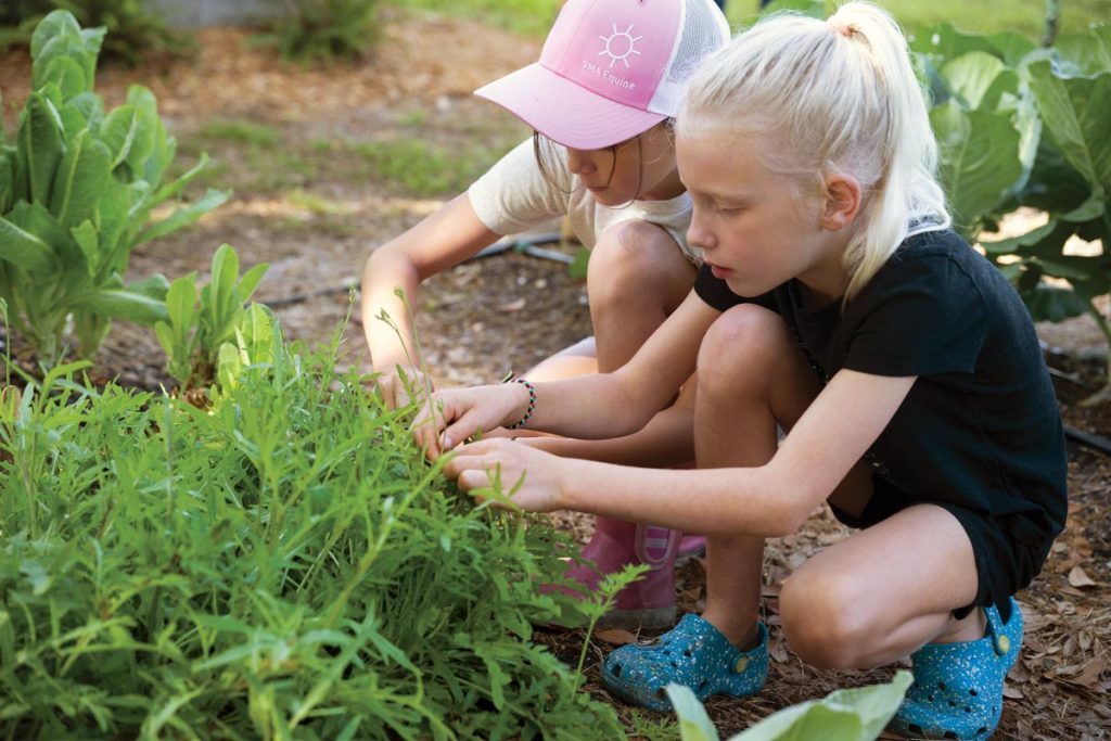 Evie and Avery apply what they have learned by caring meticulously for their plants. Photo by Steven Martine
