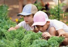Planting Seeds at Painted Sky Farms Zander and Evie show that children’s natural curiosity can be harnessed to teach them about nature and food sources. Photo by Steven Martine