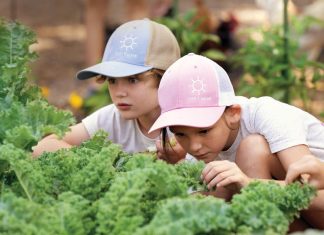 Planting Seeds at Painted Sky Farms Zander and Evie show that children’s natural curiosity can be harnessed to teach them about nature and food sources. Photo by Steven Martine