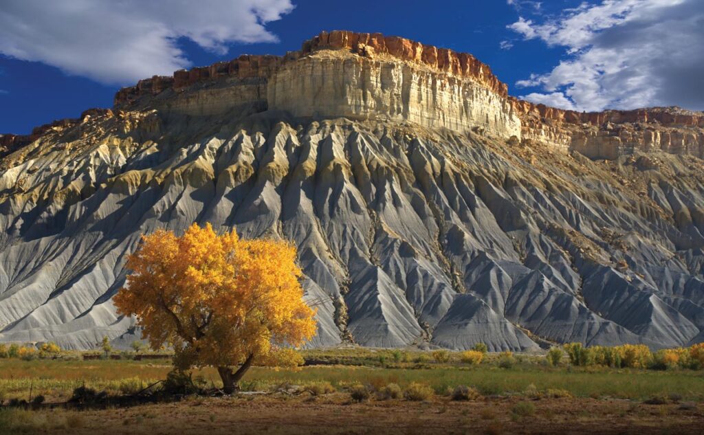 Autumn in Capitol Reef National Park, Utah by Matt Newman