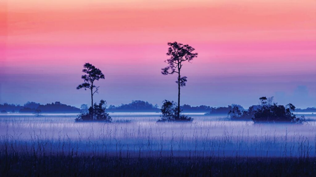 Between night and day, Everglades National Park, Florida by Lou Lower