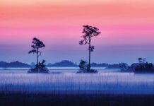 America, You’re Beautiful: 2026 Photo Contest Winners Between night and day, Everglades National Park, Florida by Lou Lower