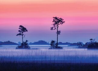 America, You’re Beautiful: 2026 Photo Contest Winners Between night and day, Everglades National Park, Florida by Lou Lower