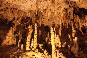 Florida Caverns State Park. Photo courtesy of AdobeStock