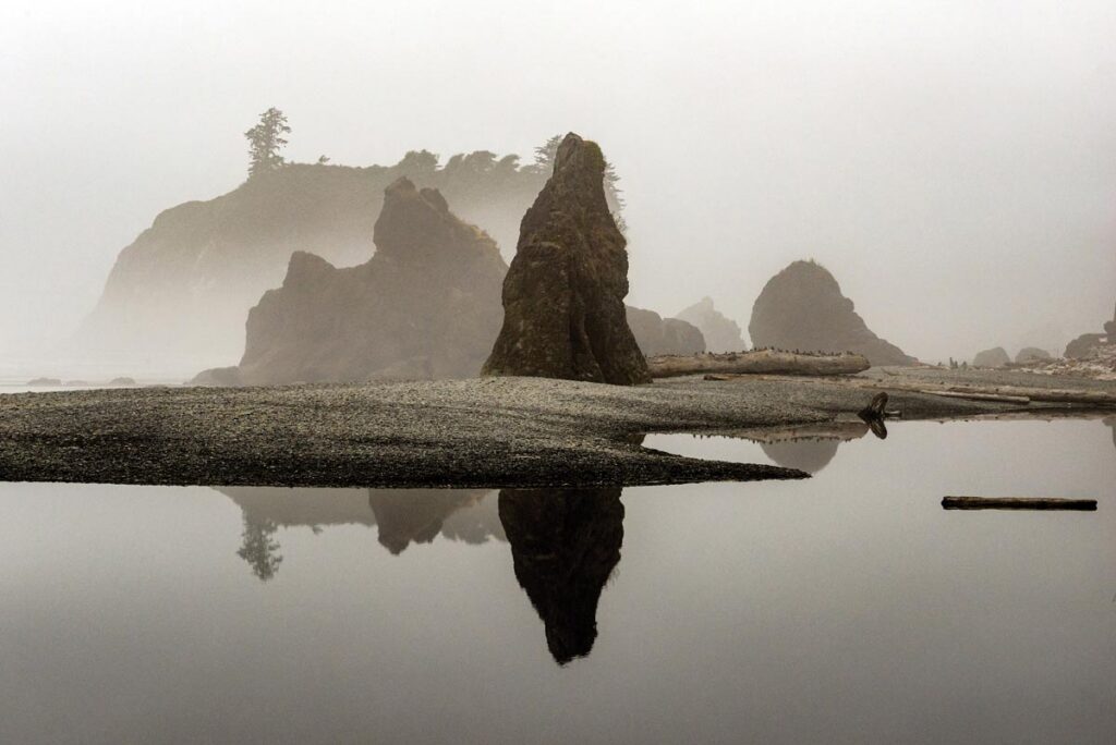 Fog over Kalaloch Beach, Olympic National Park, Washington by Kristin Fonseca