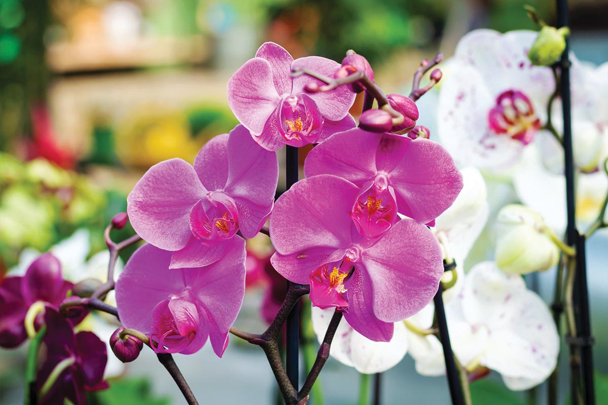 10 September Events to Attend in Vero Beach
