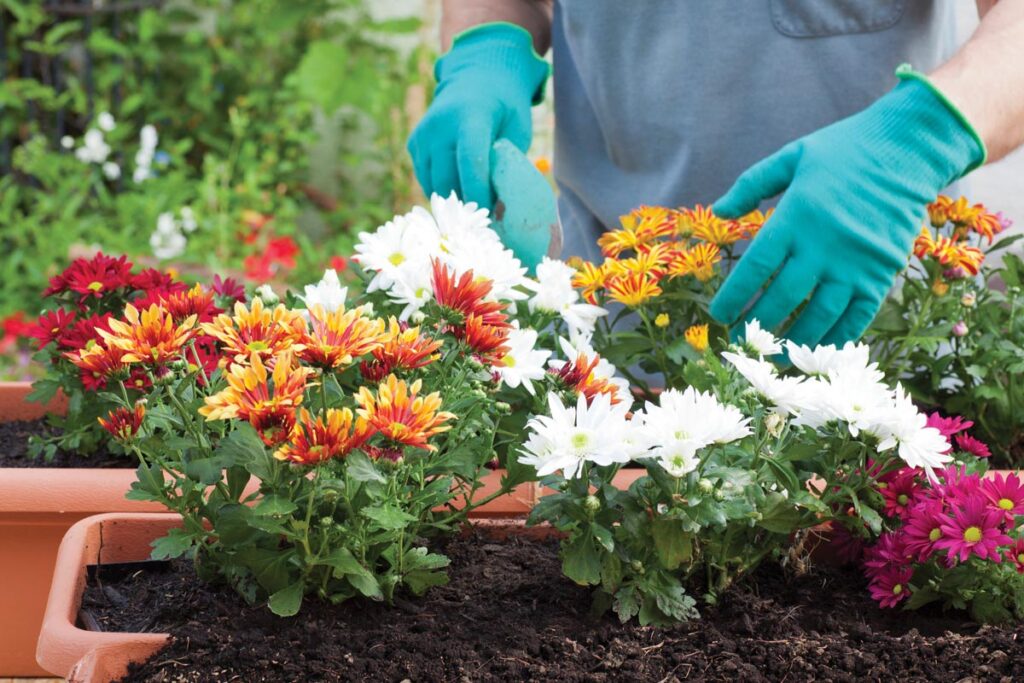Rustic colors can help put us in the mood for autumn’s arrival. Photo courtesy of iStock