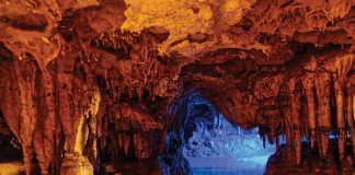 This Florida cavern shows a side of the state many people never see or even hear about. Photo courtesy of AdobeStock