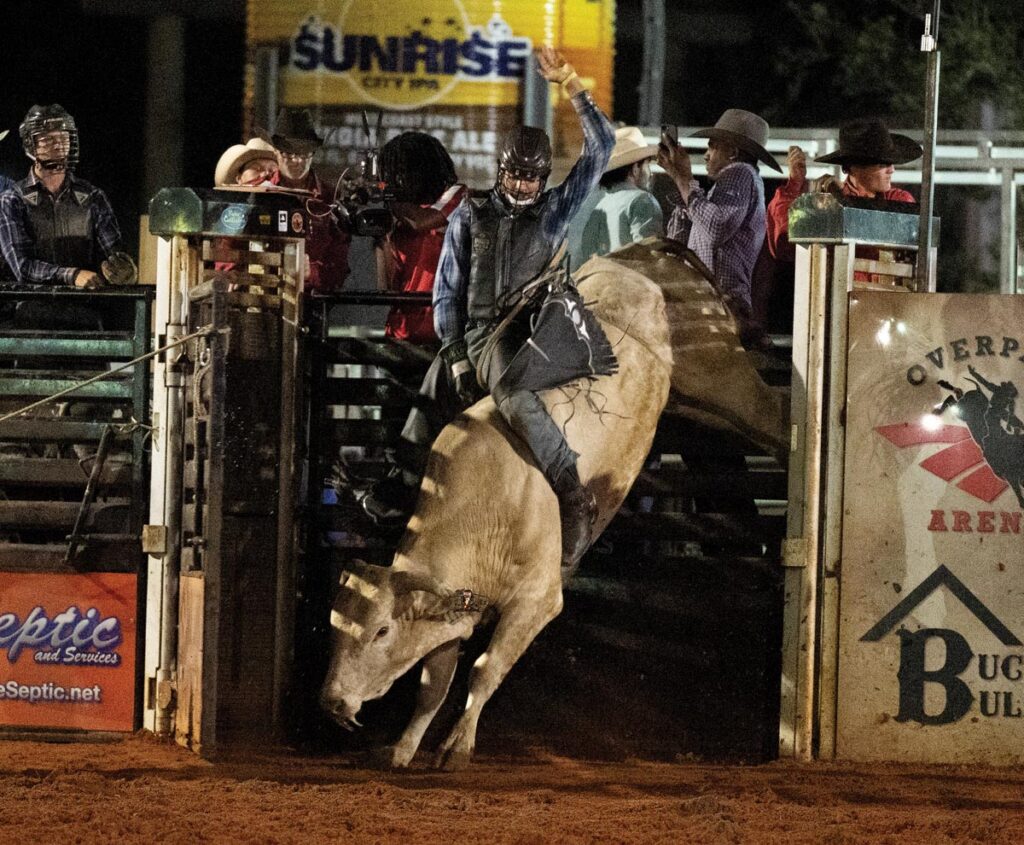 Kane Taylor of Arkansas starts his 8 seconds. Photo by Steven Martine