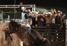 Overpass Arena Brings Rodeo to Vero Beach Saturday night champion bull rider Jeferson Silva. Photo by Steven Martine