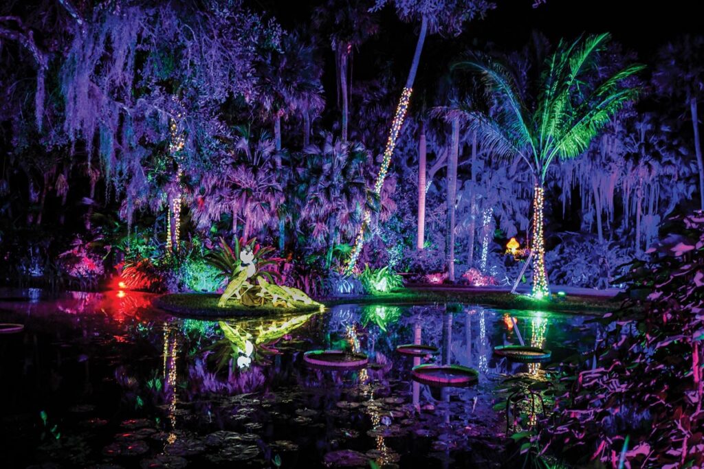 Jungle Lights begins November 29. Photo by Ingrid Zagers