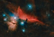 Eyes on the Night Skies Over Vero Beach The constellation Orion contains the Flame Nebula and Horsehead Nebula, shown here as seen from Florida through the lens of Rob Martin. Photo by Rob Martin